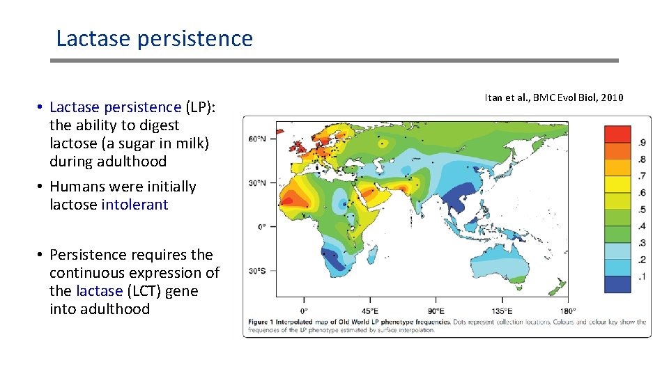 Lactase persistence • Lactase persistence (LP): the ability to digest lactose (a sugar in Lactase persistence • Lactase persistence (LP): the ability to digest lactose (a sugar in