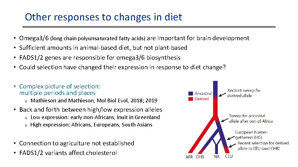 Other responses to changes in diet • • Omega 3/6 (long chain polyunsaturated fatty Other responses to changes in diet • • Omega 3/6 (long chain polyunsaturated fatty