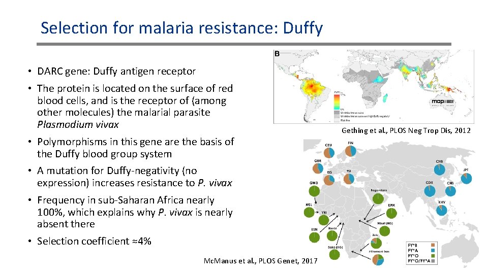Selection for malaria resistance: Duffy • DARC gene: Duffy antigen receptor • The protein Selection for malaria resistance: Duffy • DARC gene: Duffy antigen receptor • The protein