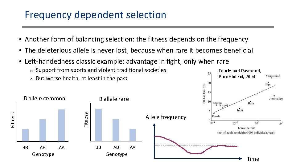 Frequency dependent selection • Another form of balancing selection: the fitness depends on the Frequency dependent selection • Another form of balancing selection: the fitness depends on the