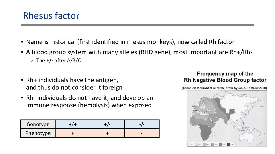 Rhesus factor • Name is historical (first identified in rhesus monkeys), now called Rh Rhesus factor • Name is historical (first identified in rhesus monkeys), now called Rh