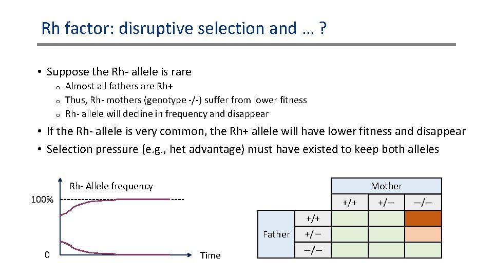 Rh factor: disruptive selection and … ? • Suppose the Rh- allele is rare Rh factor: disruptive selection and … ? • Suppose the Rh- allele is rare