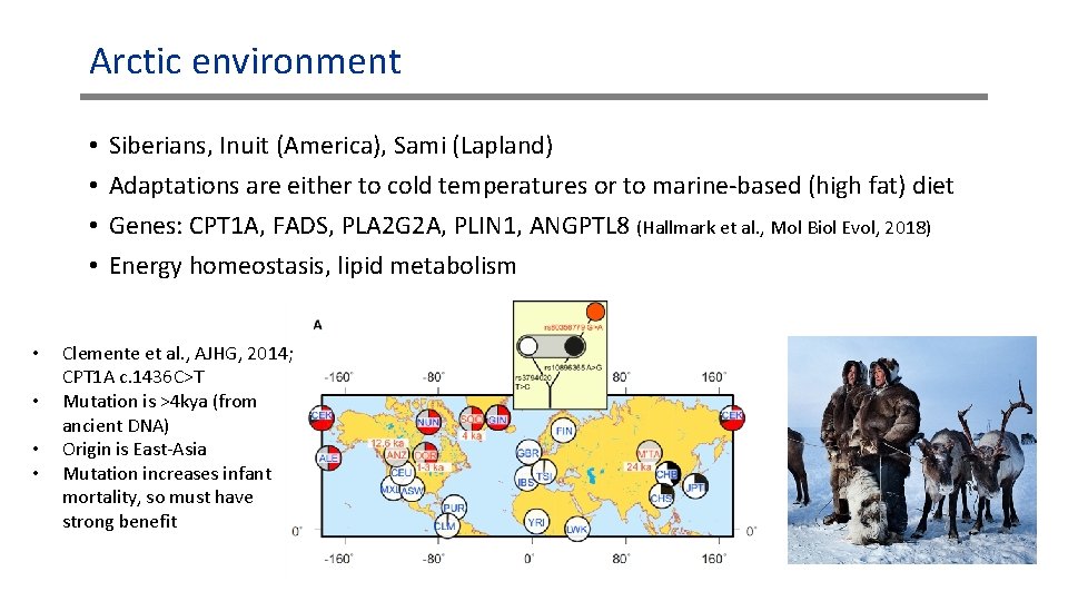 Arctic environment • • Siberians, Inuit (America), Sami (Lapland) Adaptations are either to cold Arctic environment • • Siberians, Inuit (America), Sami (Lapland) Adaptations are either to cold