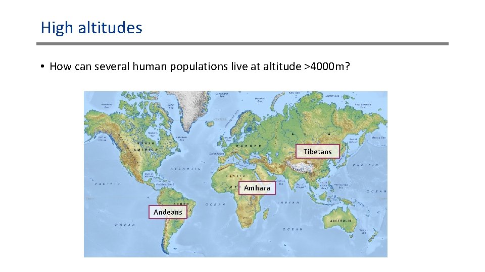 High altitudes • How can several human populations live at altitude >4000 m? Tibetans High altitudes • How can several human populations live at altitude >4000 m? Tibetans