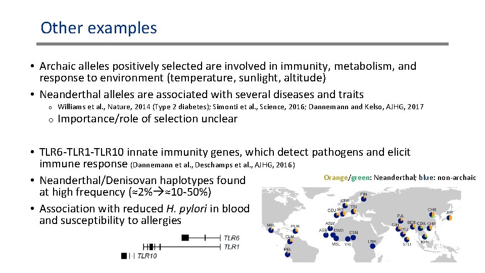 Other examples • Archaic alleles positively selected are involved in immunity, metabolism, and response Other examples • Archaic alleles positively selected are involved in immunity, metabolism, and response
