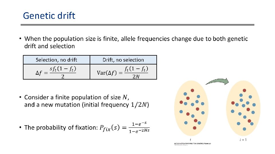 Genetic drift • Selection, no drift Drift, no selection Allele frequency Wikipedia Genetic drift • Selection, no drift Drift, no selection Allele frequency Wikipedia