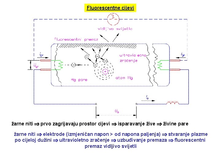 Fluorescentne cijevi žarne niti prvo zagrijavaju prostor cijevi isparavanje žive živine pare žarne niti