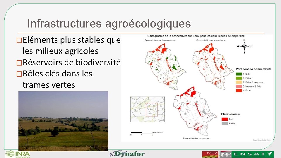 Infrastructures agroécologiques �Eléments plus stables que les milieux agricoles �Réservoirs de biodiversité �Rôles clés