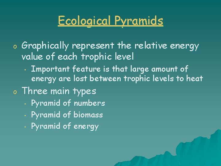 Ecological Pyramids o Graphically represent the relative energy value of each trophic level •