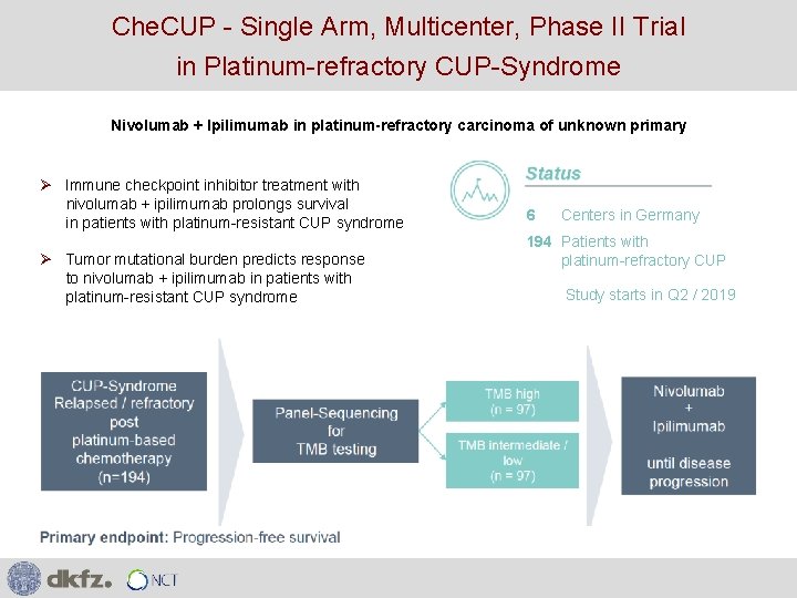 Che. CUP - Single Arm, Multicenter, Phase II Trial in Platinum-refractory CUP-Syndrome Nivolumab +