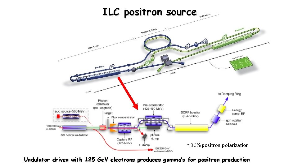 ILC positron source ~ 30% positron polarization Undulator driven with 125 Ge. V electrons