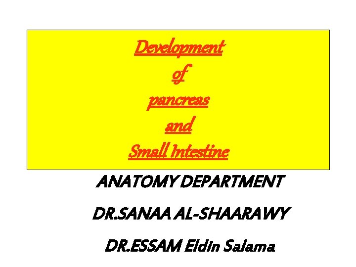 Development of pancreas and Small Intestine ANATOMY DEPARTMENT DR. SANAA AL-SHAARAWY DR. ESSAM Eldin