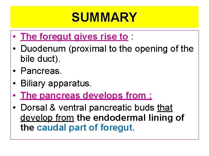 SUMMARY • The foregut gives rise to : • Duodenum (proximal to the opening