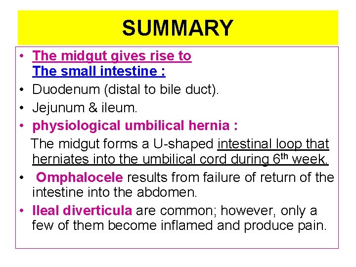 SUMMARY • The midgut gives rise to The small intestine : • Duodenum (distal