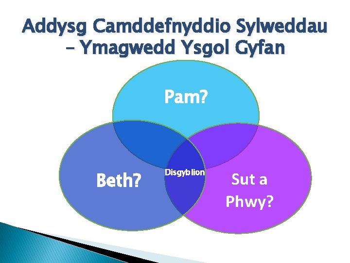 Addysg Camddefnyddio Sylweddau – Ymagwedd Ysgol Gyfan Pam? Beth? Disgyblion Sut a Phwy? 
