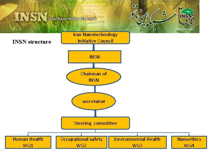 INSN structure Iran Nanotechnology Initiative Council INSN Chairman of INSN secretariat Steering committee Human