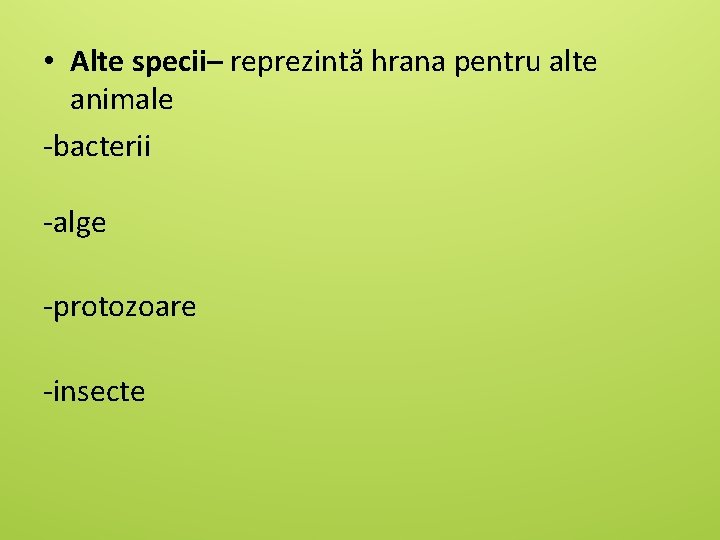  • Alte specii– reprezintă hrana pentru alte animale -bacterii -alge -protozoare -insecte 