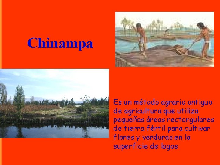Chinampa Es un método agrario antiguo de agricultura que utiliza pequeñas áreas rectangulares de
