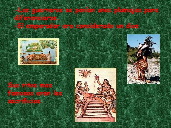 -Los guerreros se ponían unos plumajes para diferenciarse. -El emperador era considerado un dios