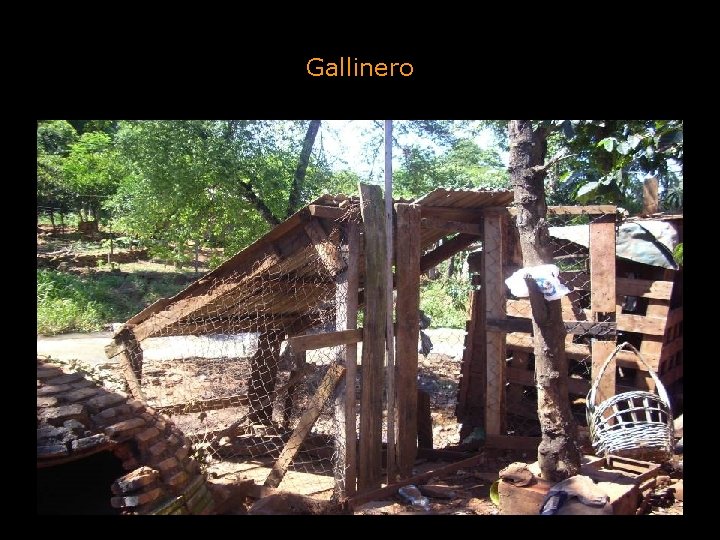 Gallinero 