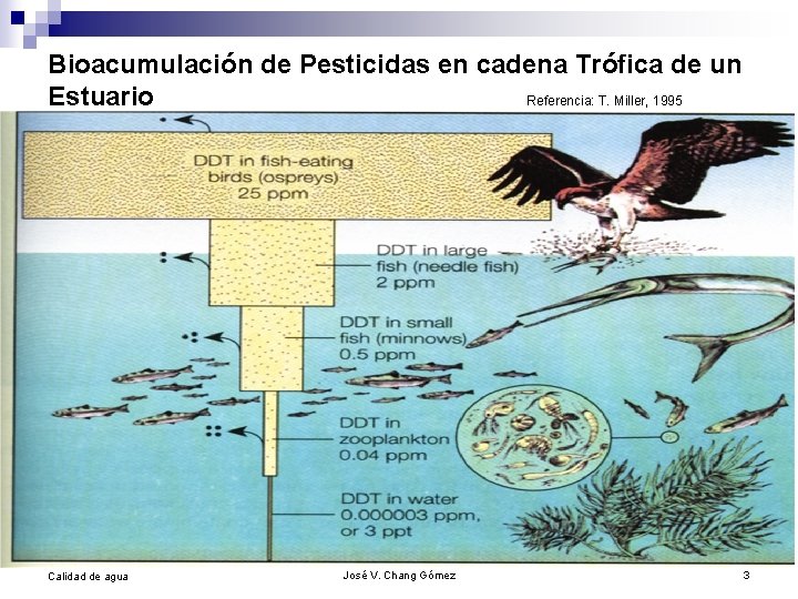 Bioacumulación de Pesticidas en cadena Trófica de un Estuario Referencia: T. Miller, 1995 Calidad