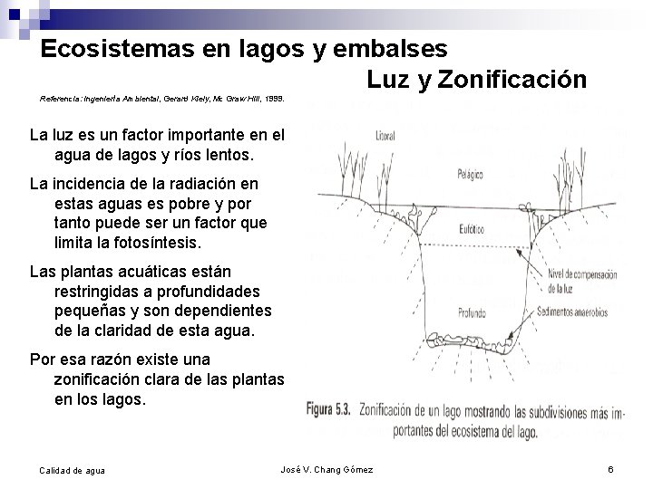 Ecosistemas en lagos y embalses Luz y Zonificación Referencia: Ingeniería Ambiental, Gerard Kiely, Mc
