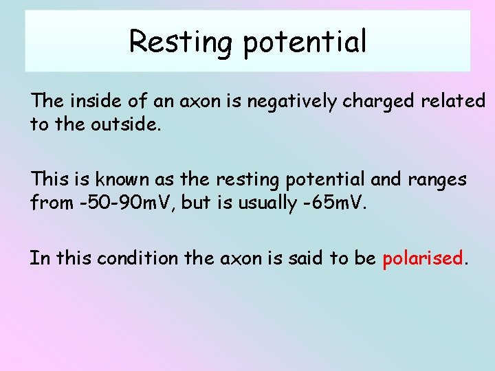 Resting potential The inside of an axon is negatively charged related to the outside.