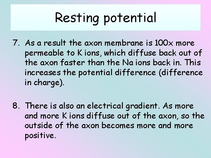 Resting potential 7. As a result the axon membrane is 100 x more permeable