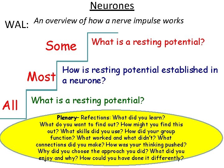 Neurones WAL: An overview of how a nerve impulse works Some Most All What