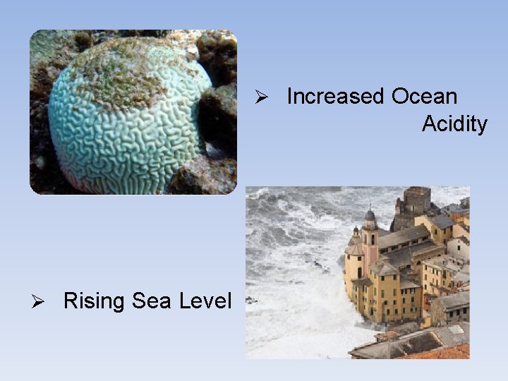 Ø Increased Ocean Acidity Ø Rising Sea Level 