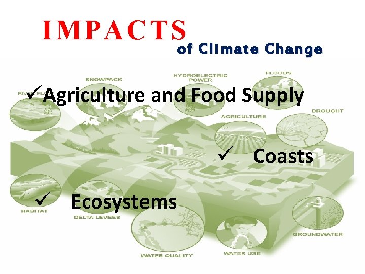 IMPACTS of Climate Change üAgriculture and Food Supply ü Coasts ü Ecosystems 