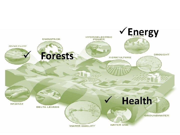 üEnergy ü Forests ü Health 