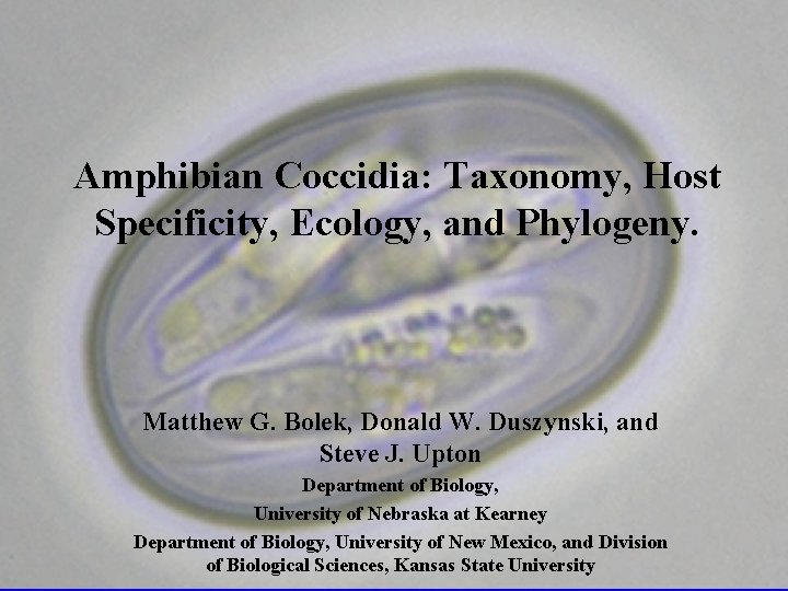 Amphibian Coccidia: Taxonomy, Host Specificity, Ecology, and Phylogeny. Matthew G. Bolek, Donald W. Duszynski,