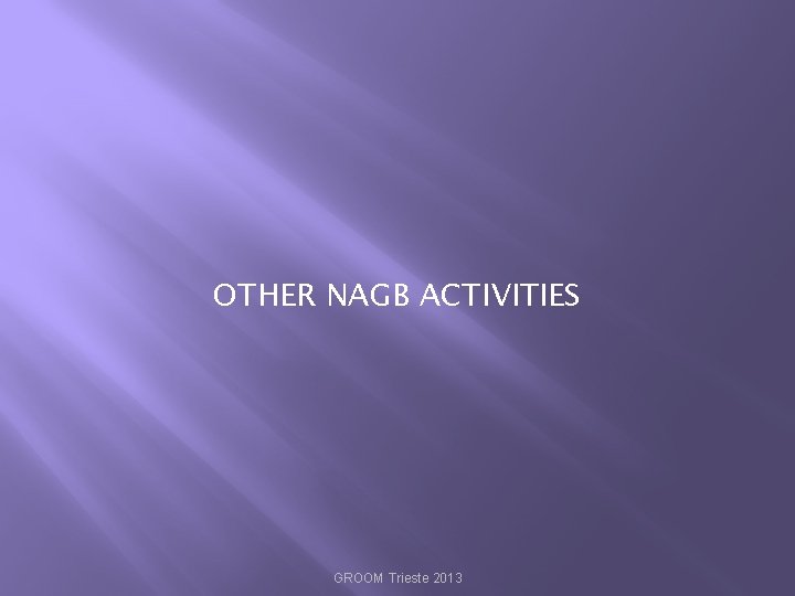 OTHER NAGB ACTIVITIES GROOM Trieste 2013 