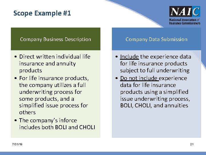 Scope Example #1 Company Business Description • Direct written individual life insurance and annuity Scope Example #1 Company Business Description • Direct written individual life insurance and annuity