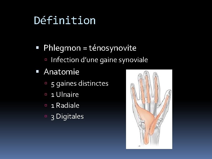 Définition Phlegmon = ténosynovite Infection d’une gaine synoviale Anatomie 5 gaines distinctes 1 Ulnaire