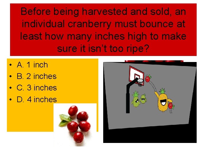 Before being harvested and sold, an individual cranberry must bounce at least how many