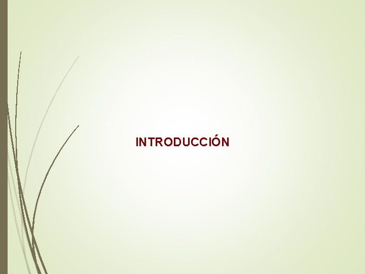 INTRODUCCIÓN INTRODUCCIÓN