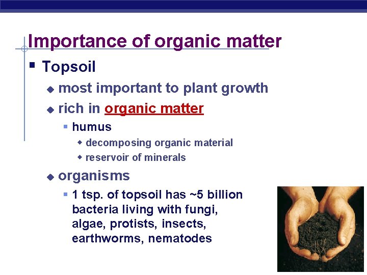 Importance of organic matter § Topsoil most important to plant growth u rich in