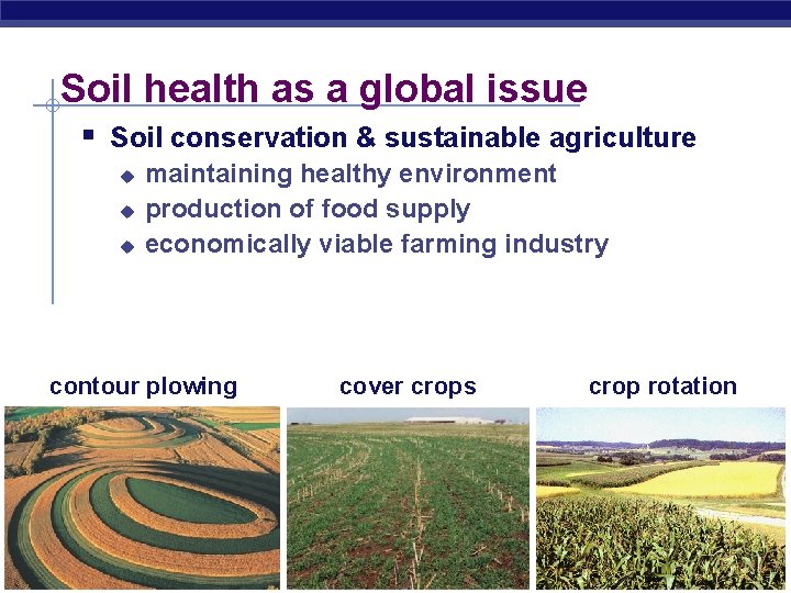 Soil health as a global issue § Soil conservation & sustainable agriculture u u