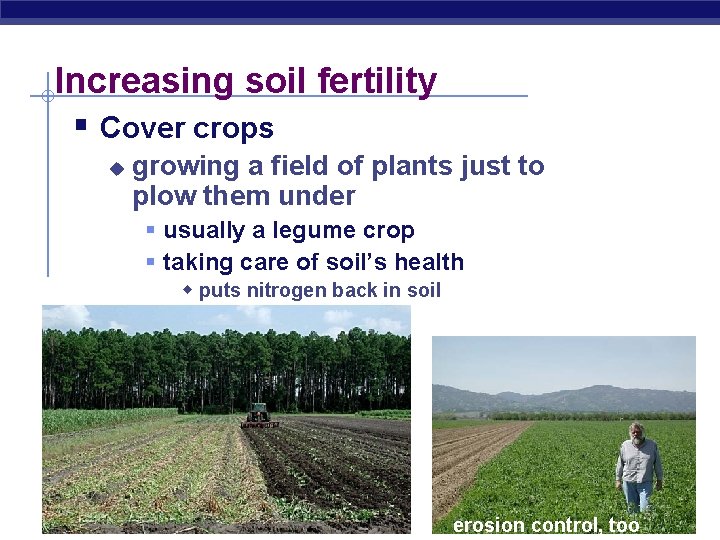 Increasing soil fertility § Cover crops u growing a field of plants just to