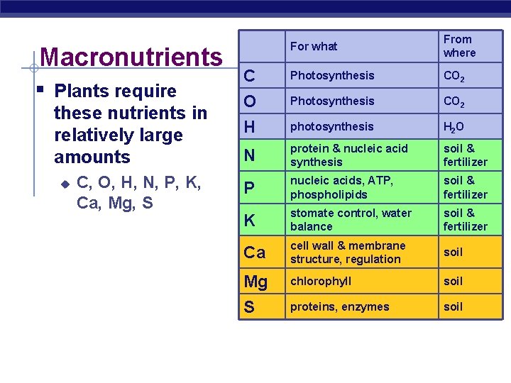 Macronutrients § Plants require these nutrients in relatively large amounts u C, O, H,