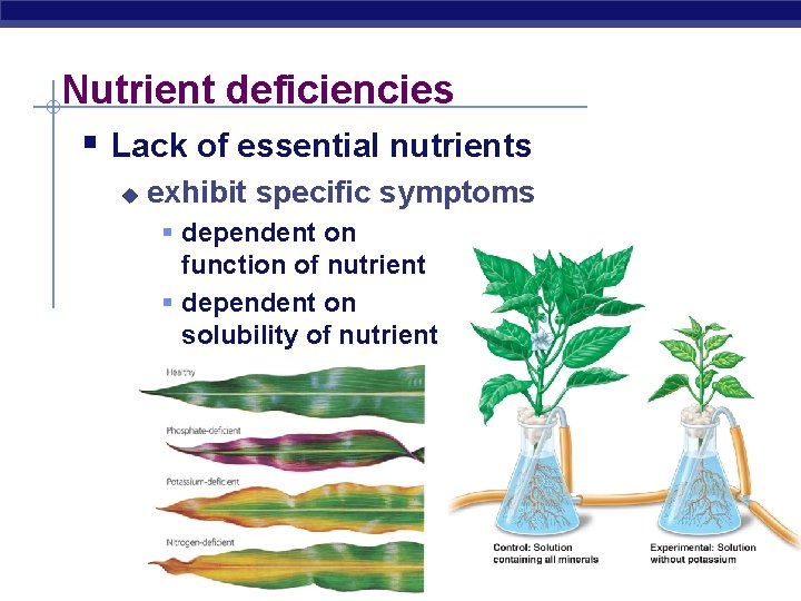 Nutrient deficiencies § Lack of essential nutrients u exhibit specific symptoms § dependent on