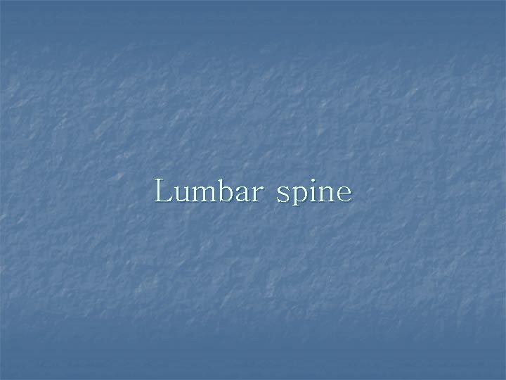 Lumbar spine 