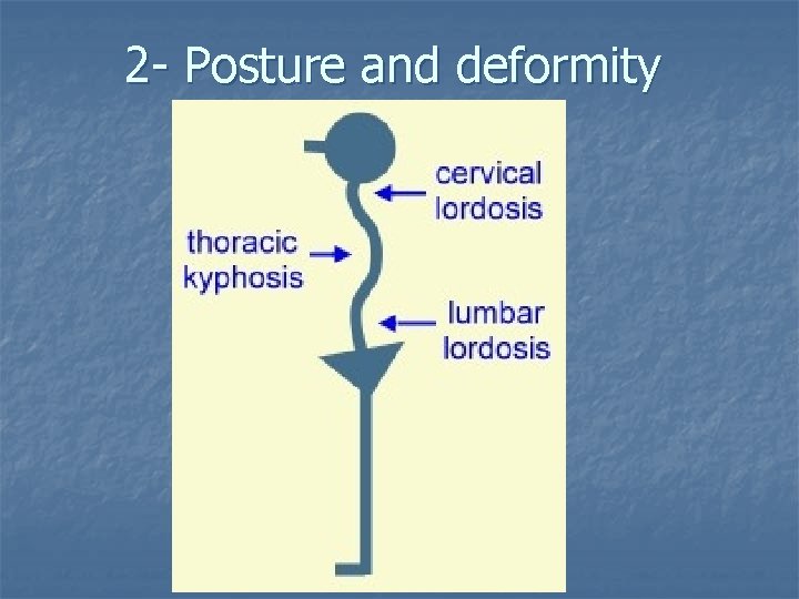 2 - Posture and deformity 
