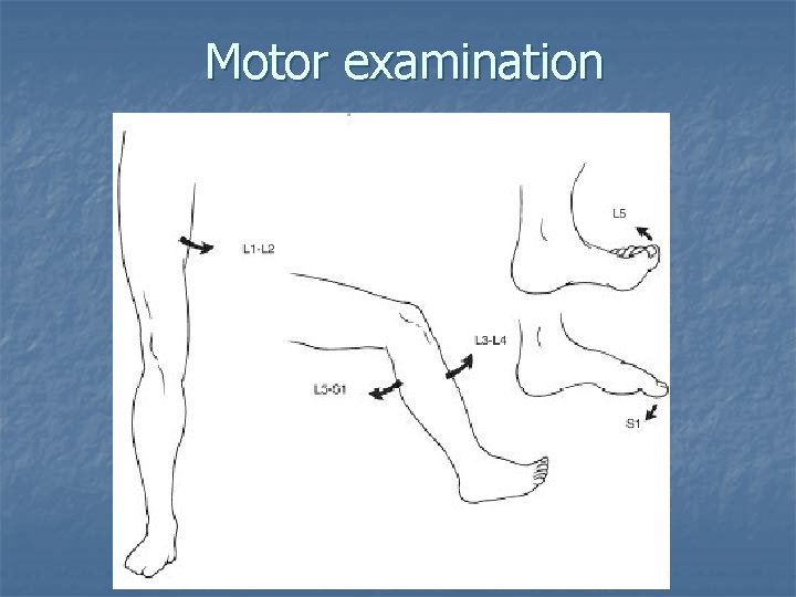 Motor examination 