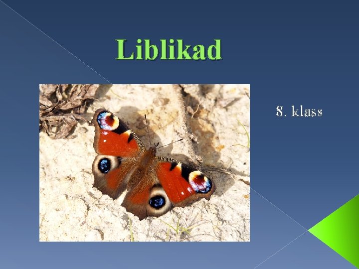 Liblikad 8. klass 