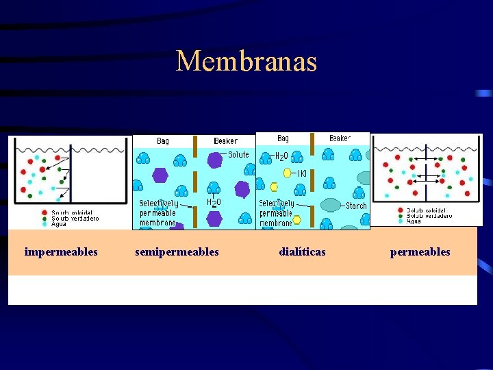 Membranas impermeables semipermeables dialíticas permeables 