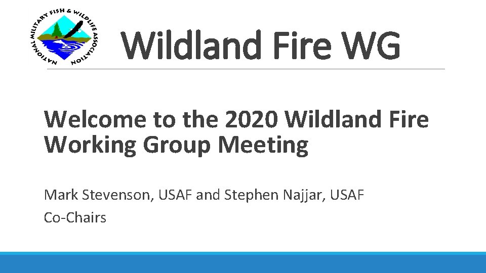 Wildland Fire WG Welcome to the 2020 Wildland Fire Working Group Meeting Mark Stevenson,