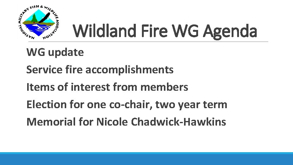 Wildland Fire WG Agenda WG update Service fire accomplishments Items of interest from members